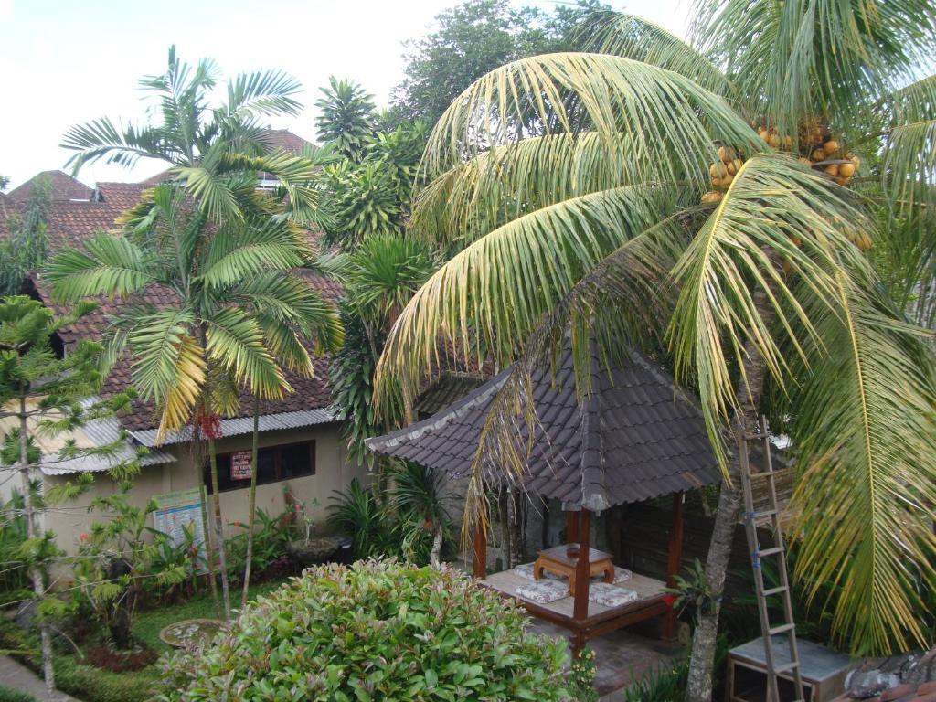 Gusti Home Stay Ubud Εξωτερικό φωτογραφία