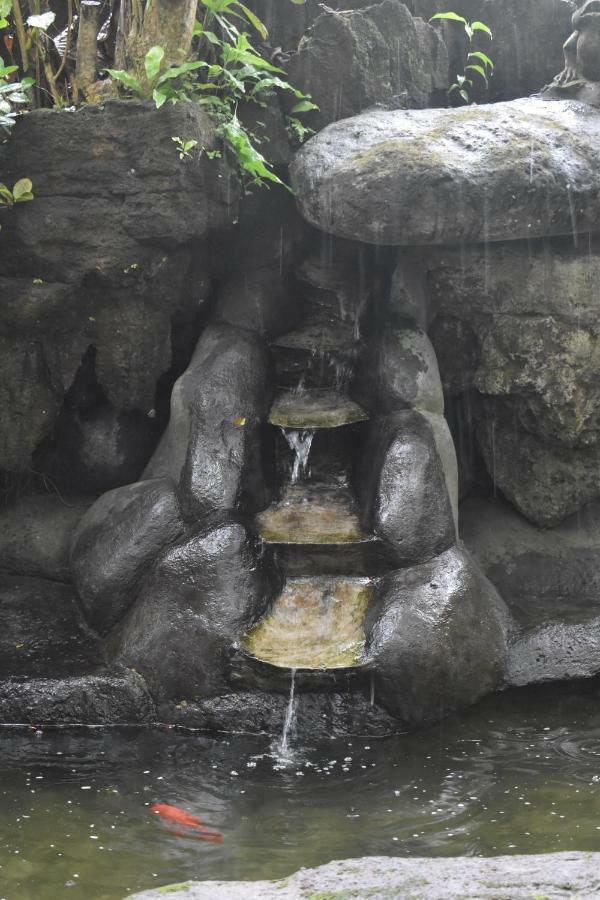 Gusti Home Stay Ubud Εξωτερικό φωτογραφία